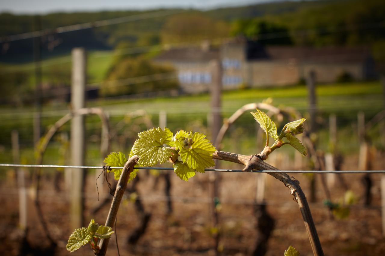 Ozenay Les Maisons Vigneronnes מראה חיצוני תמונה